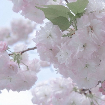 嘉陵FurryQQ群介绍